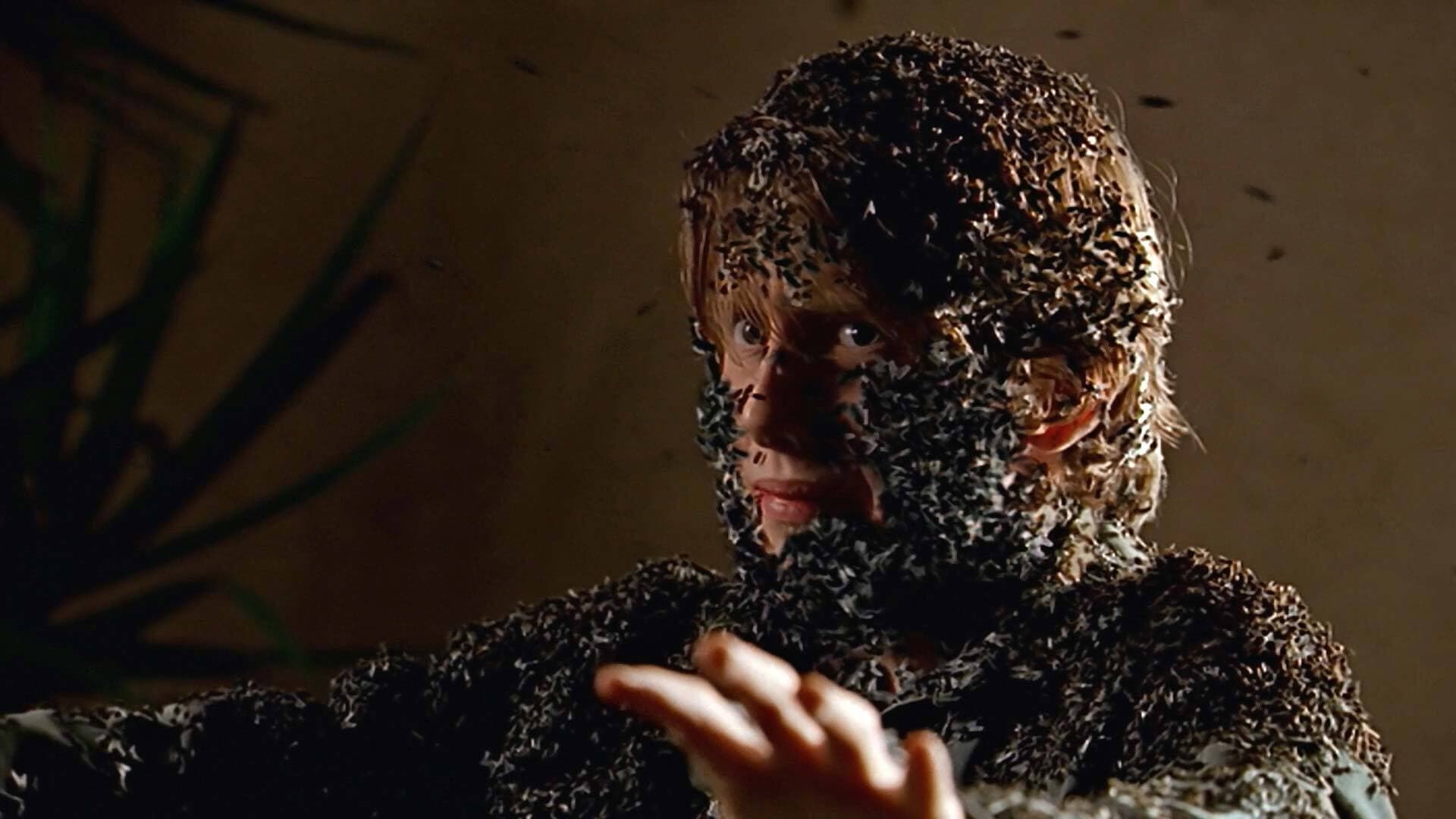 El señor de las moscas