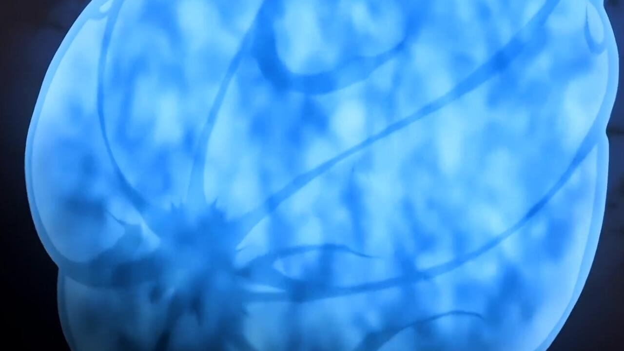 La aprendiz de ninja médico