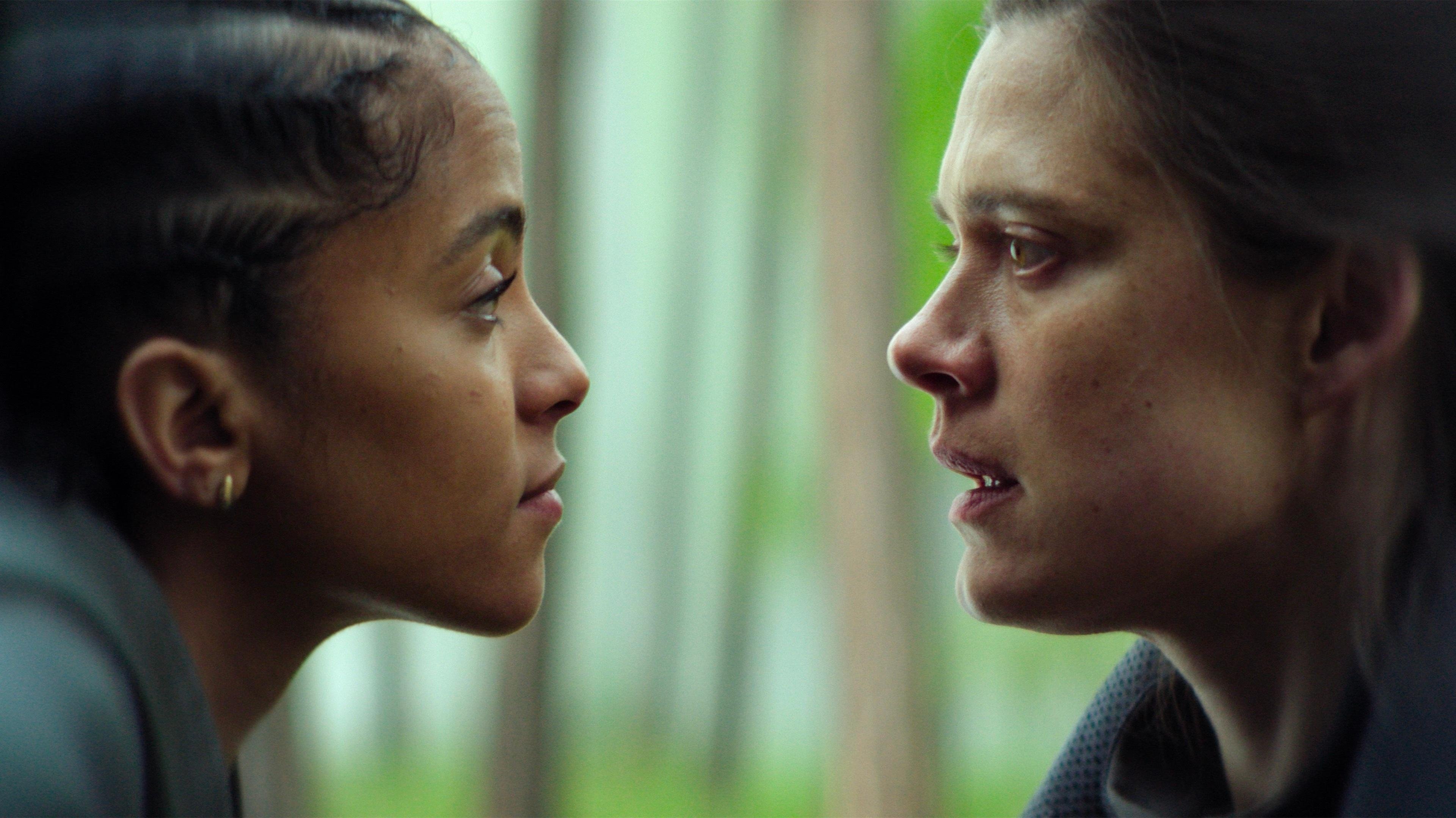 Los caminos que nos escogen