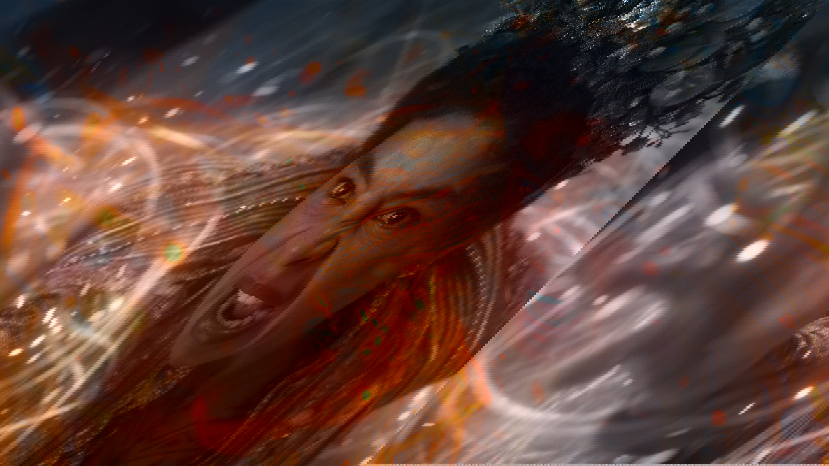 A la caza de la Sombra