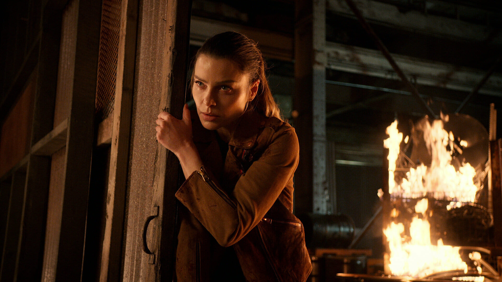 Compañeros Hasta el Final