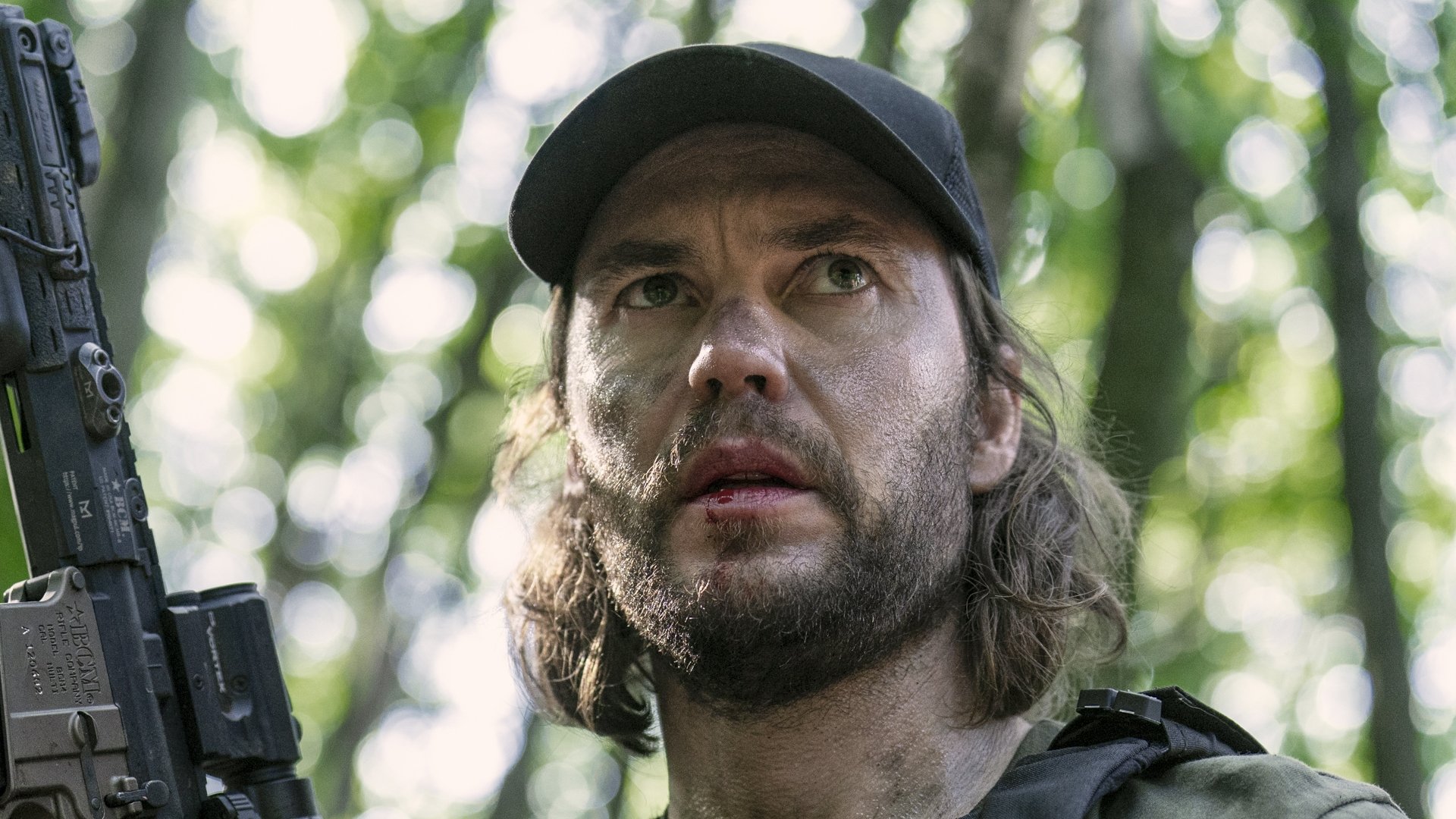 El lobo que alimentas