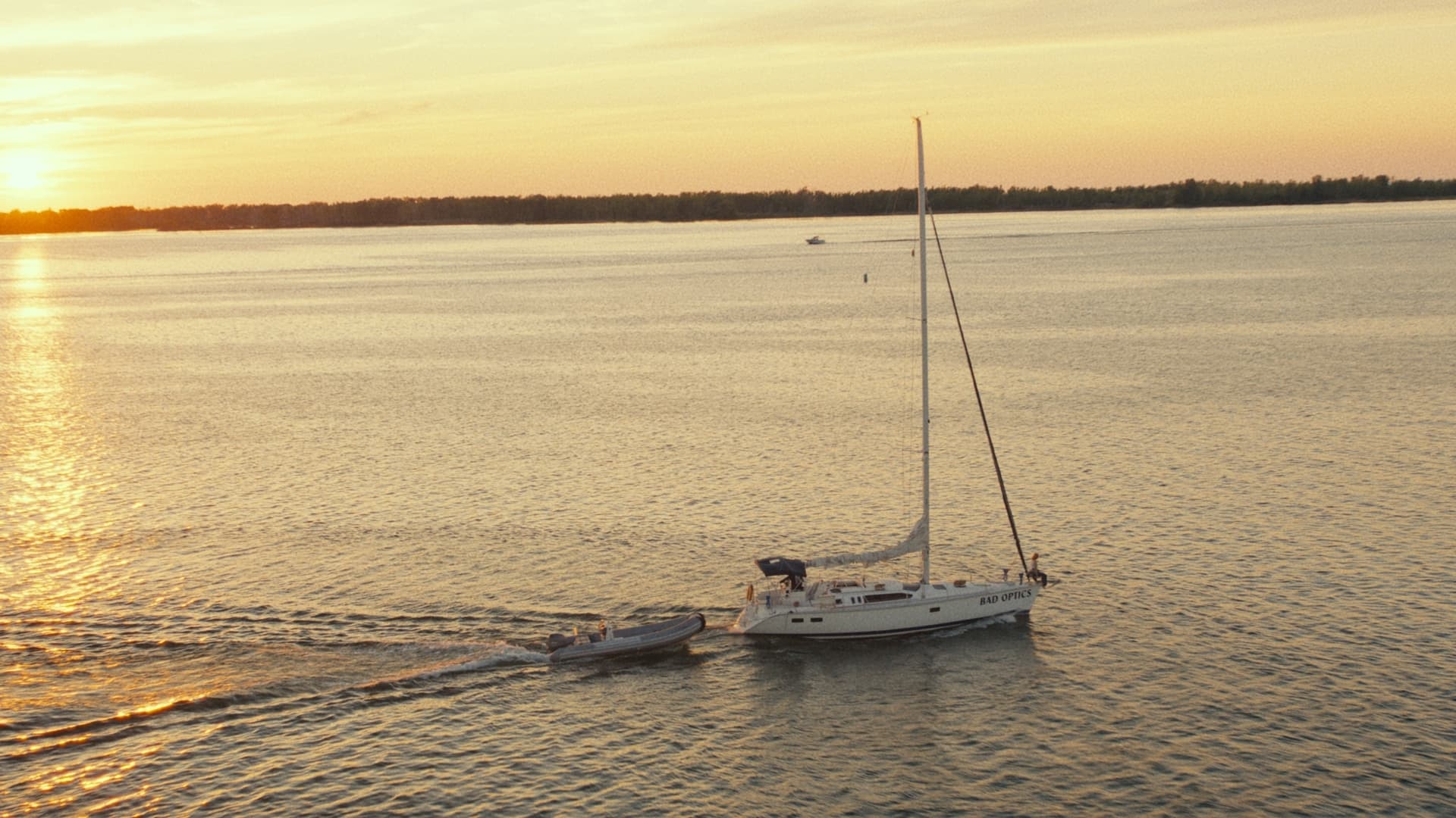 Nunca se perdió una paloma