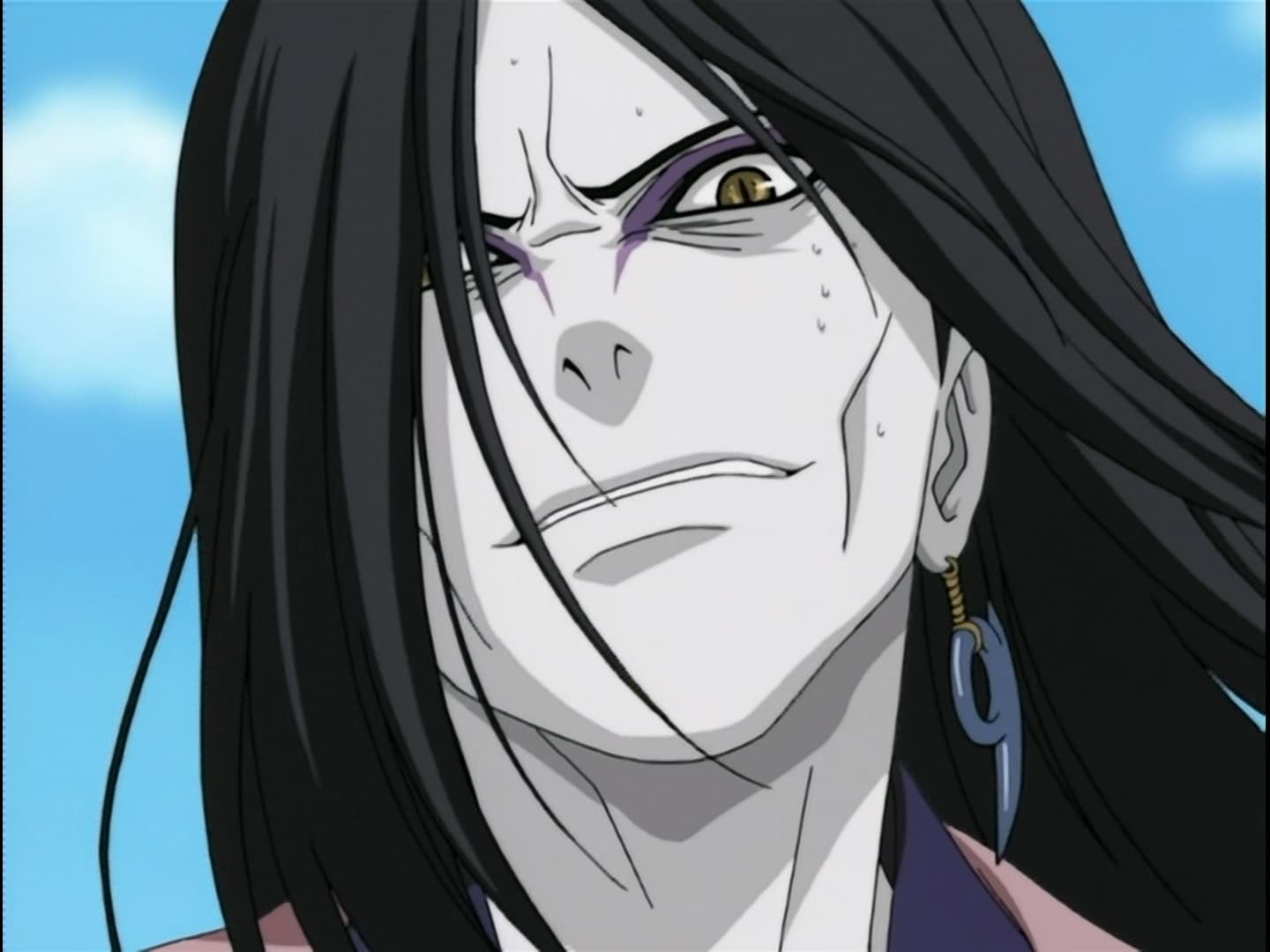 El símbolo de la hoja y el protector