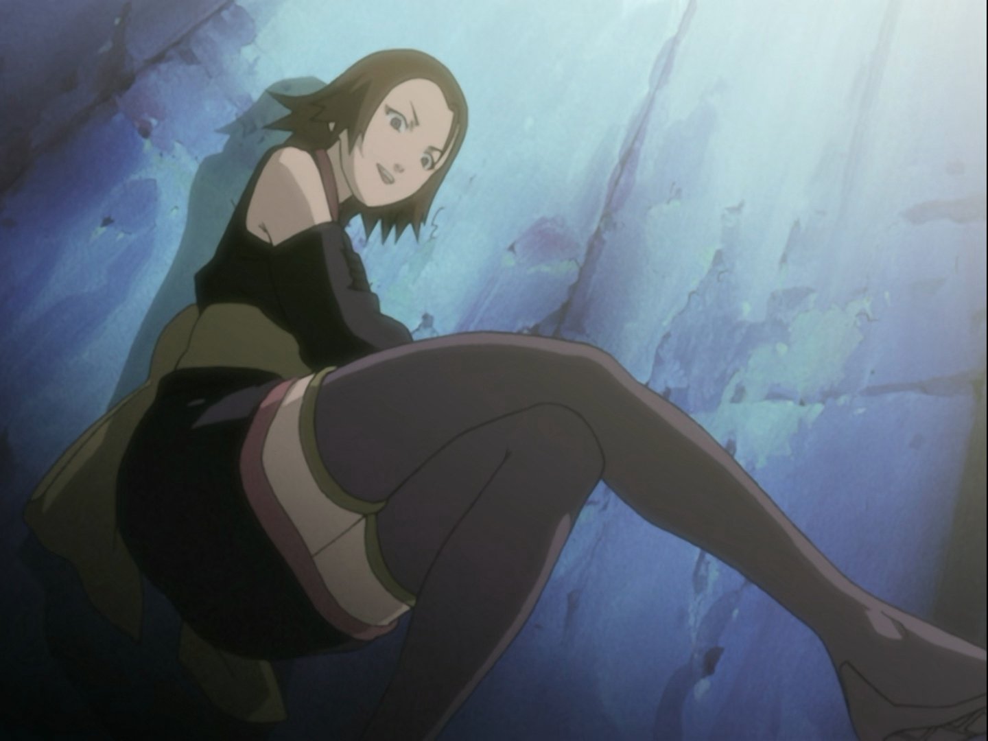 ¡Engaños, señuelos y tretas! La gran batalla de los bichos