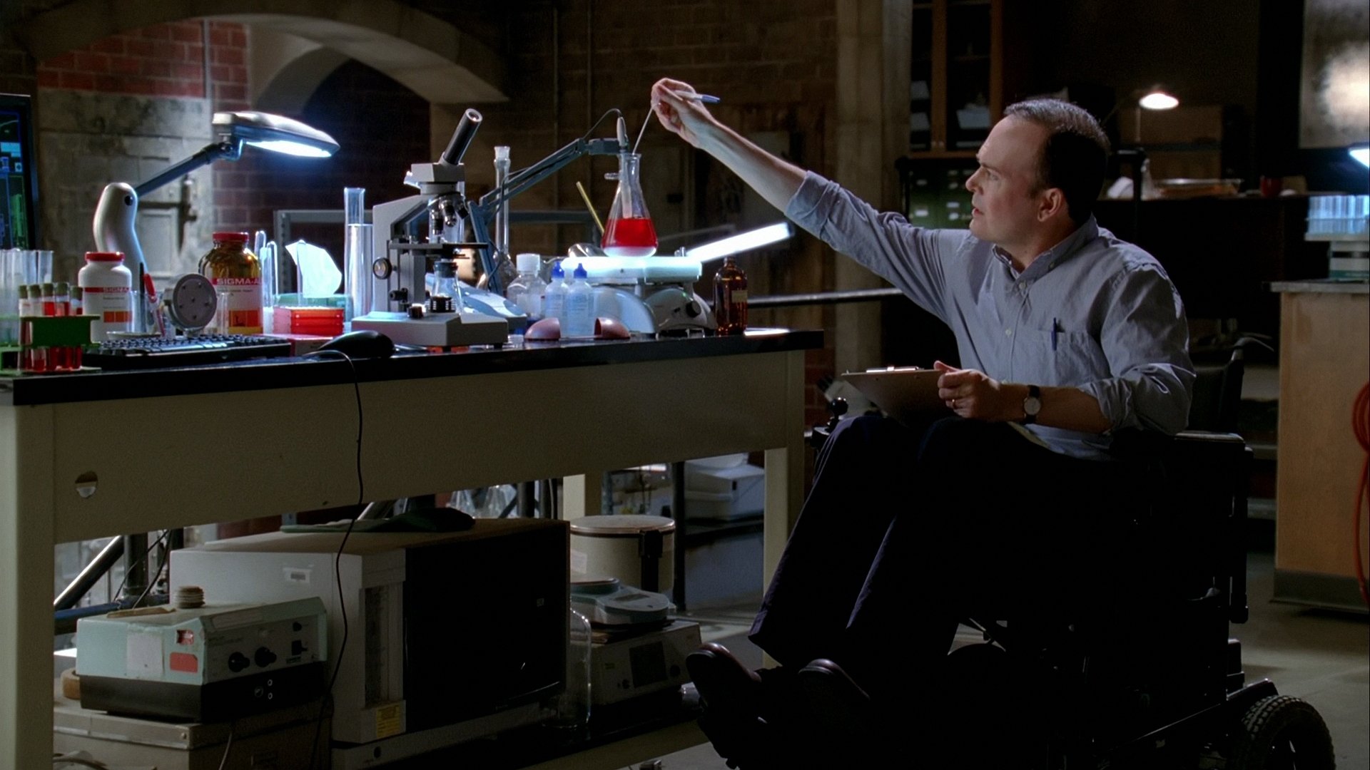 Bajo la luz de la luna