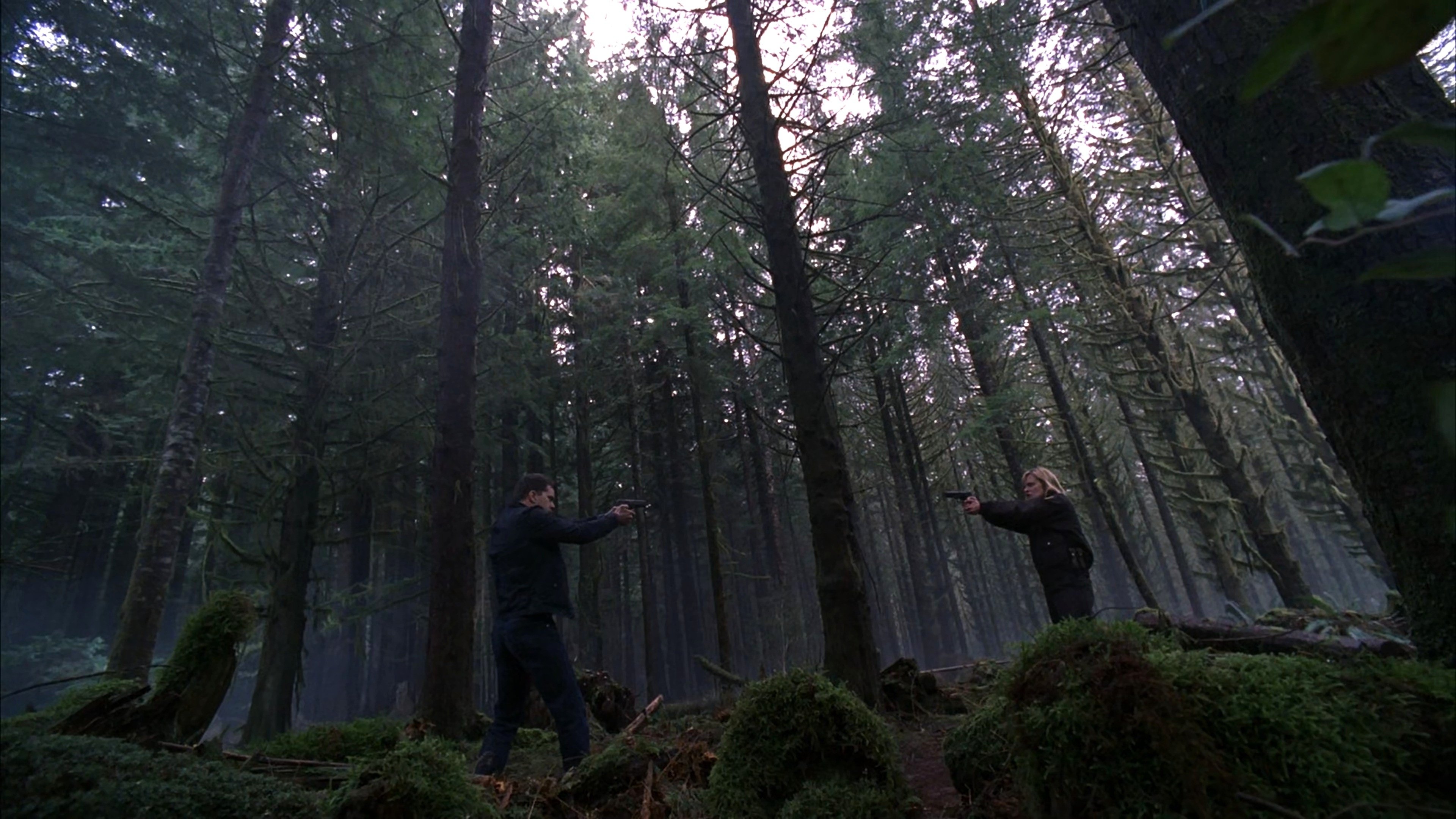 En busca de un significado