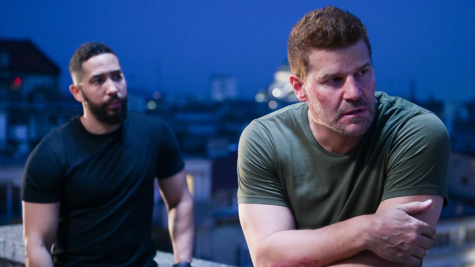 Bienvenido al refugio