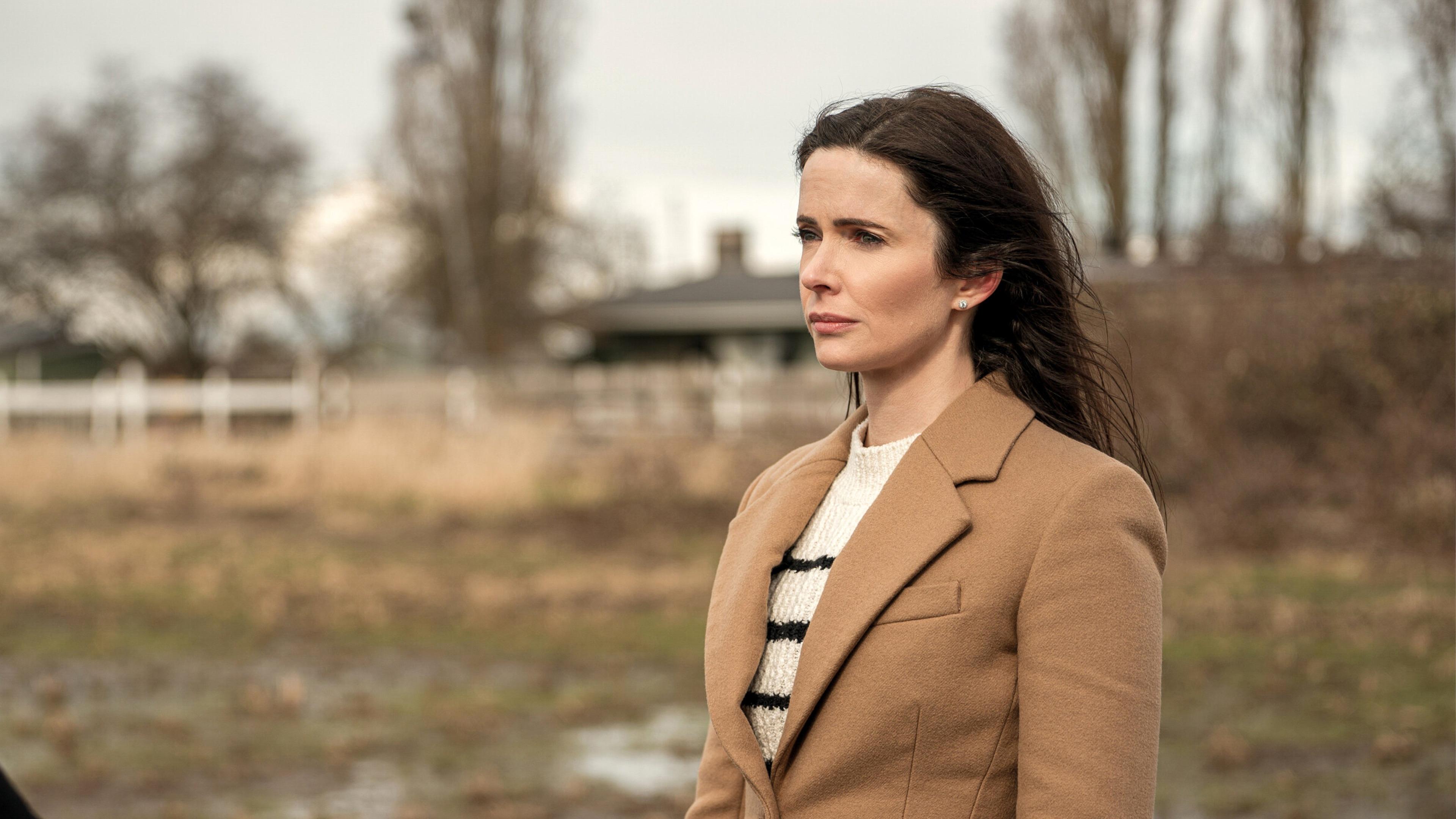 Cuando se enciende la luz