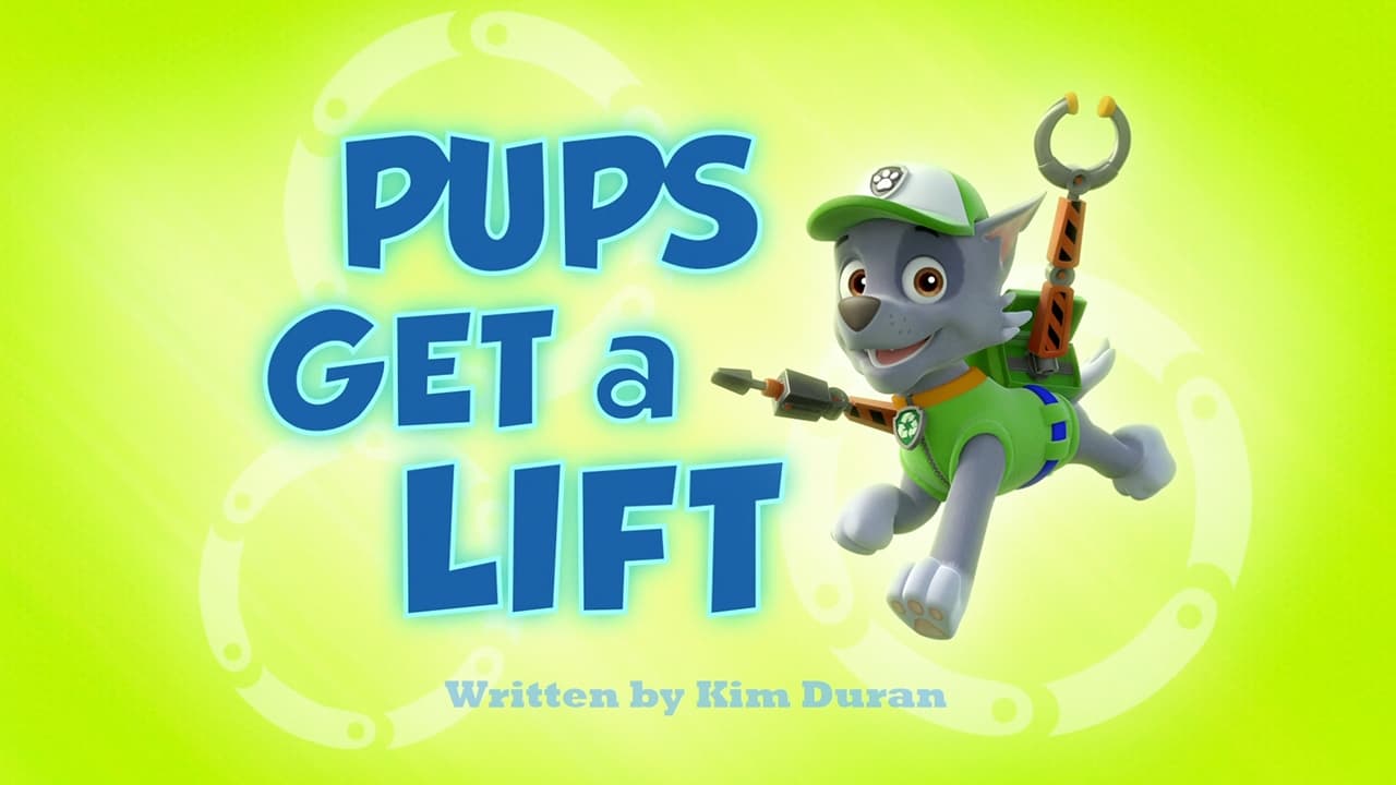 La Patrulla y la mona / La Patrulla salva a un búho