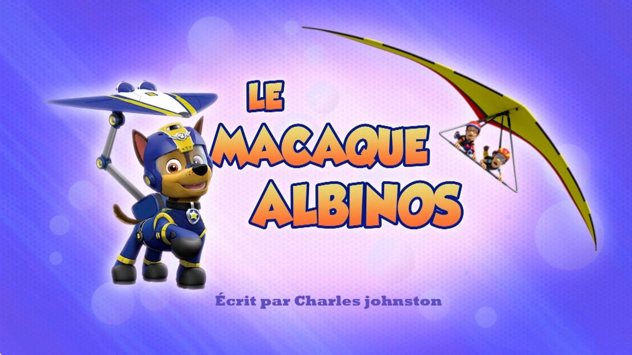 La patrulla salva a los Turbot en ala delta