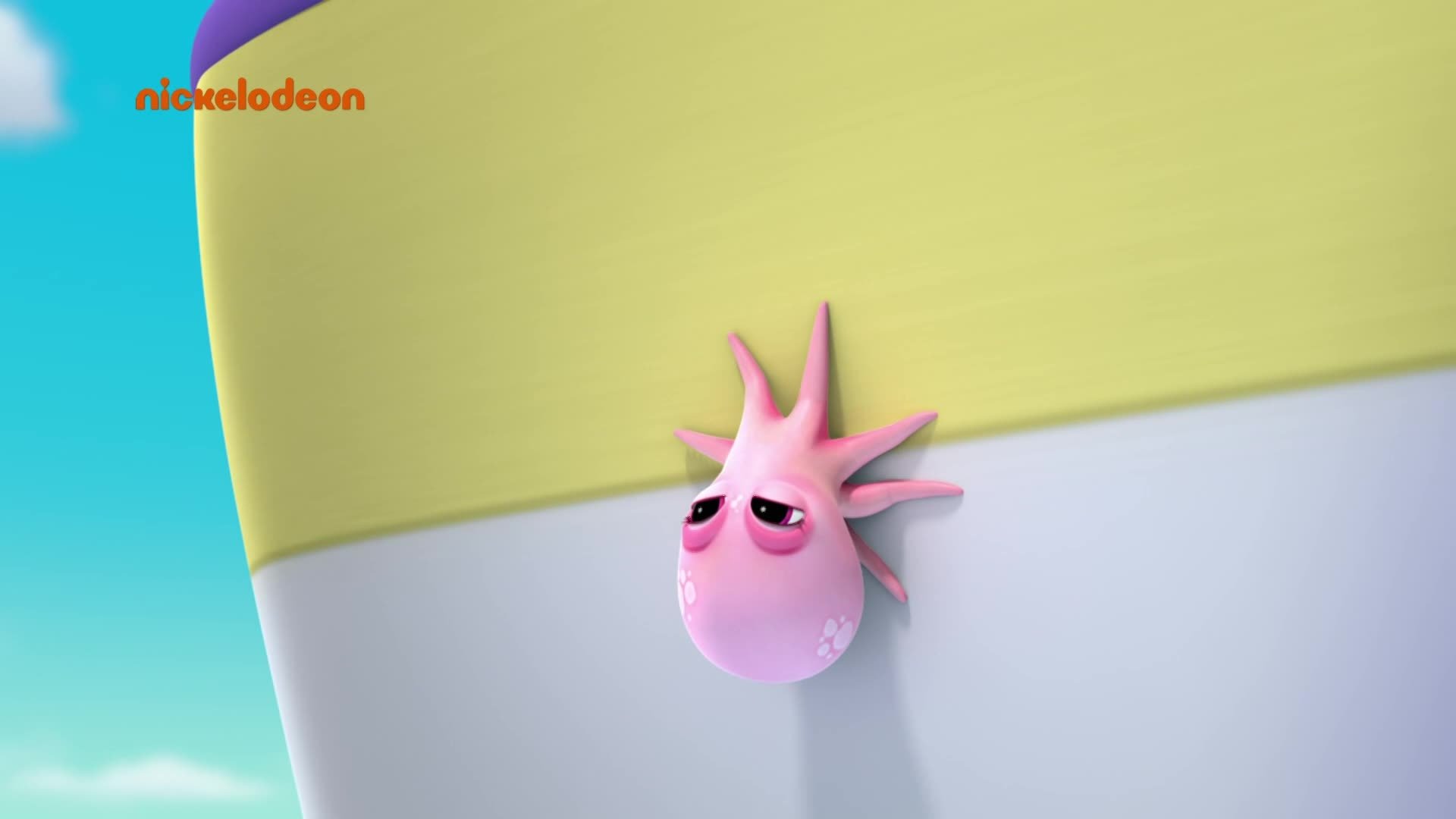 Sea Patrol: Los cachorros salvan al bebé pulpo