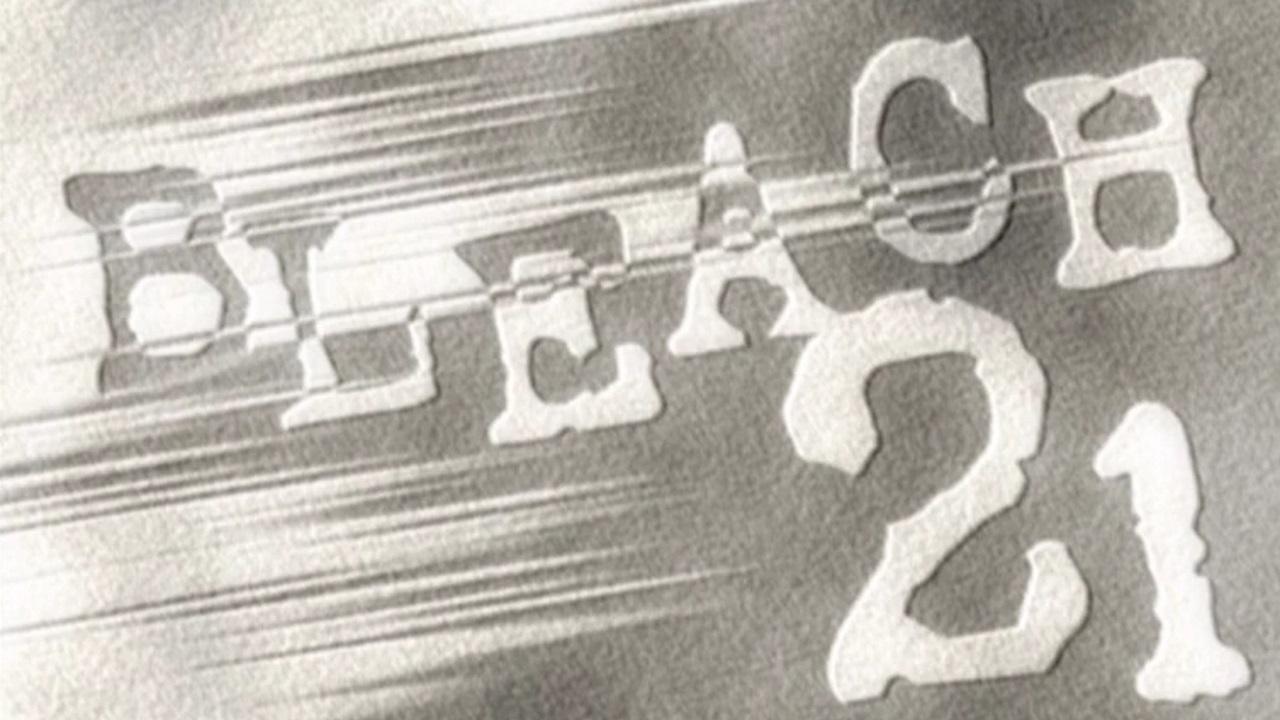 ¡Entra! El mundo de los shinigami