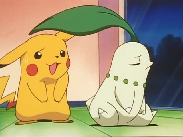 Chikorita está que muerde