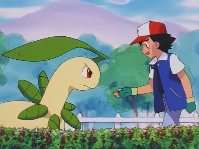 Los progresos de Bayleef