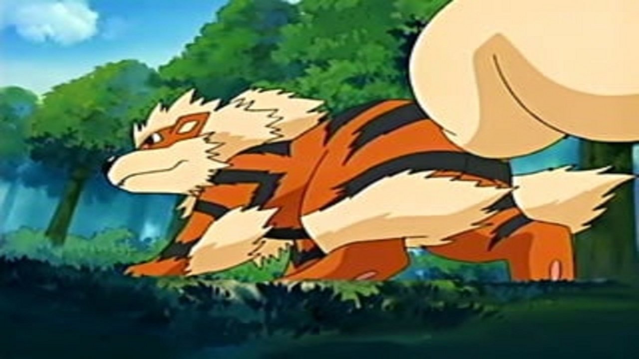 Un Arcanine en las alturas