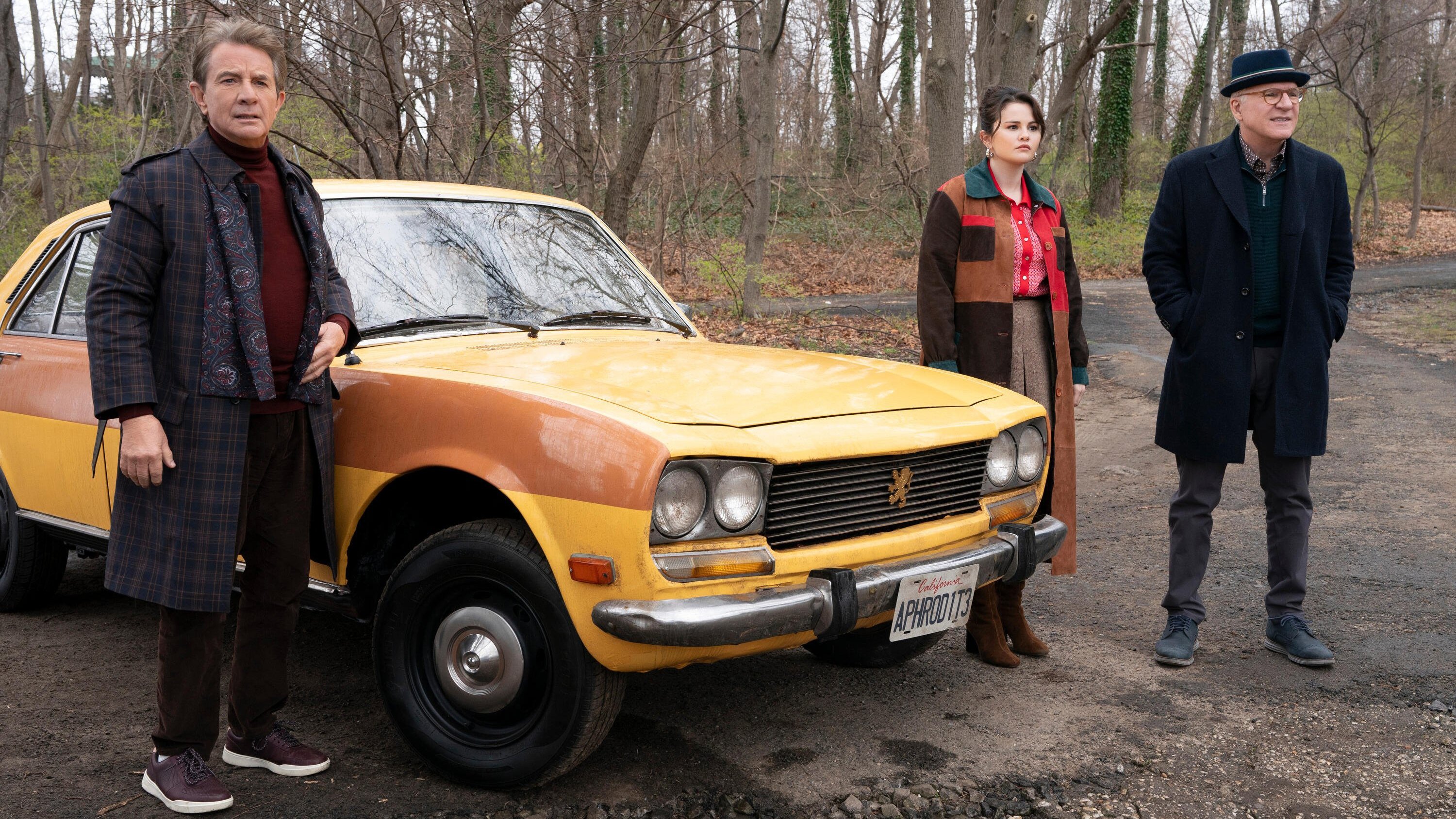 Profesión: especialista