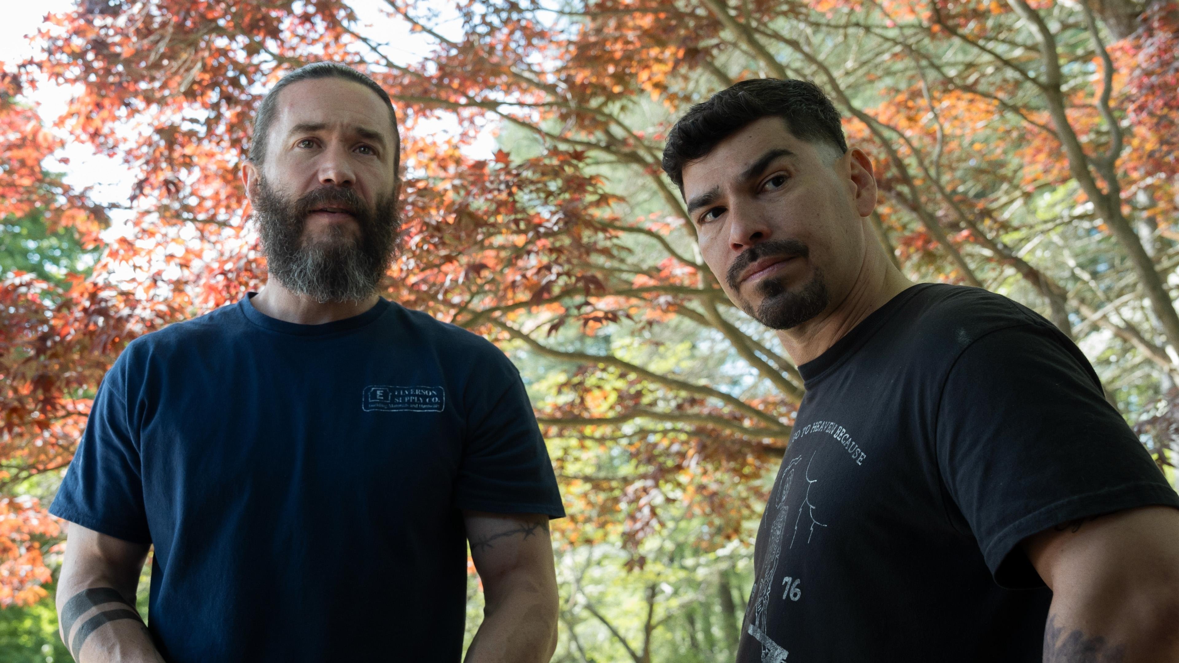 Declaraciones familiares