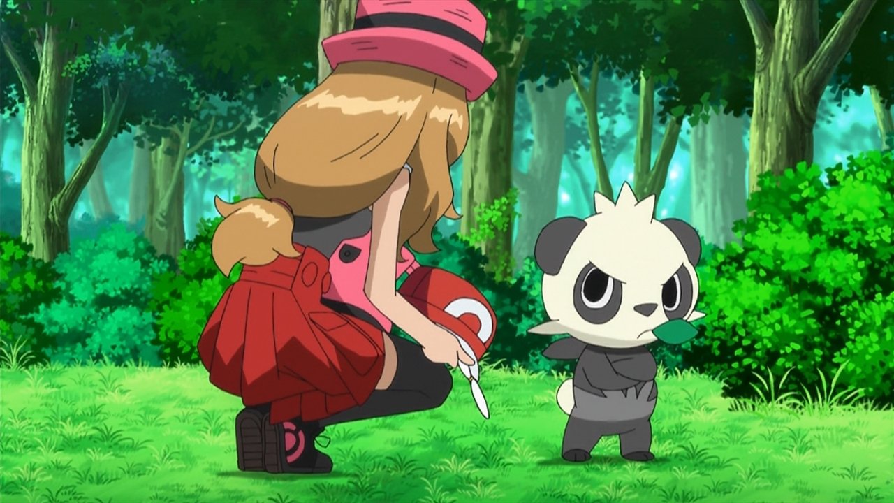 ¡Soñando el sueño de una estrella Pokémon!