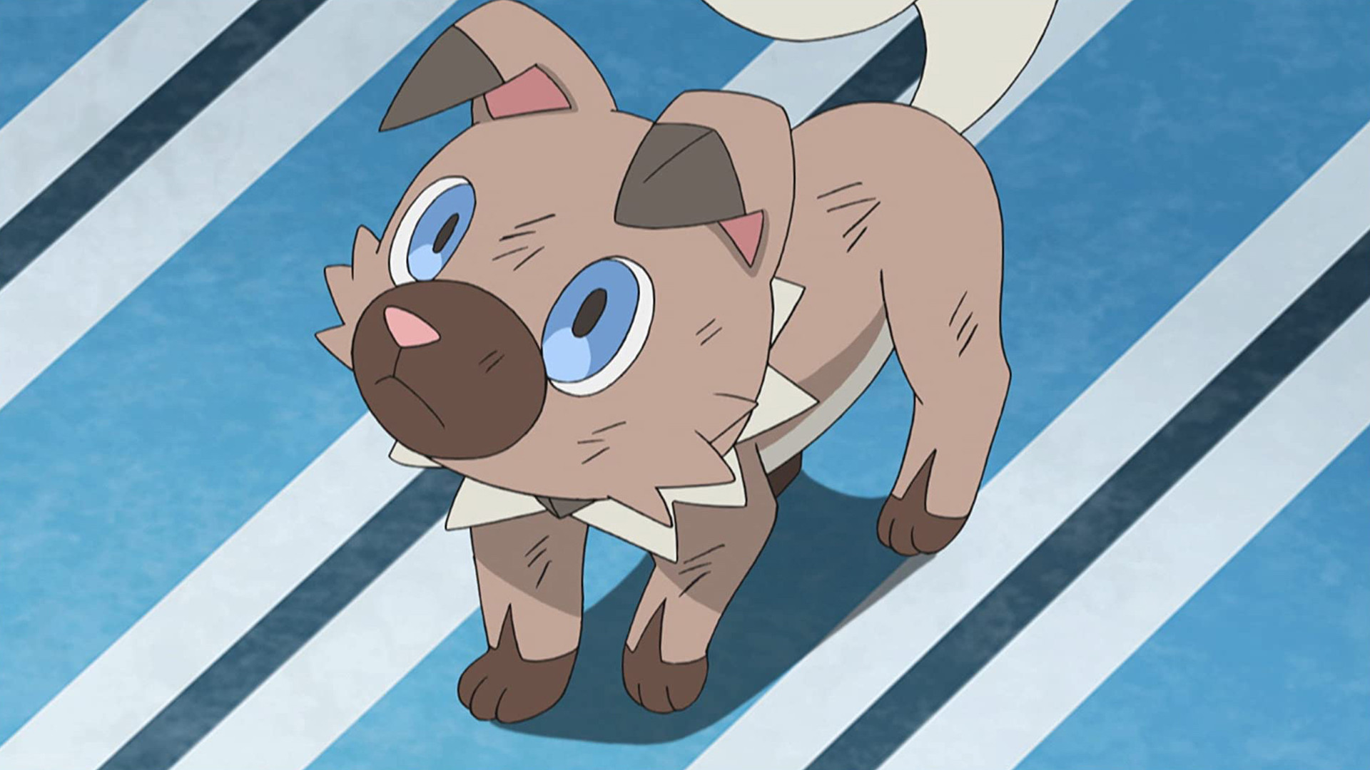 ¡Combatiendo en la colina Huellazarpas!