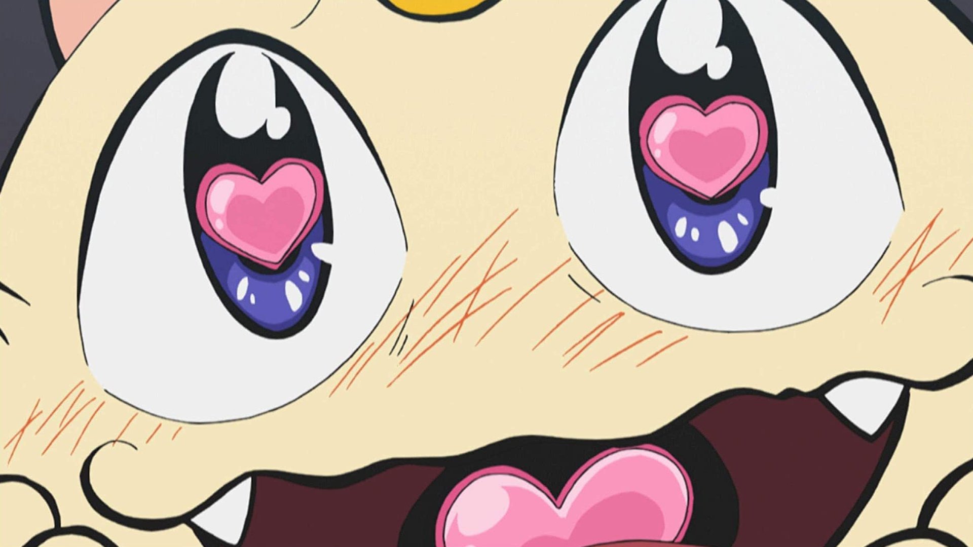 ¡La belleza está en el cristal!