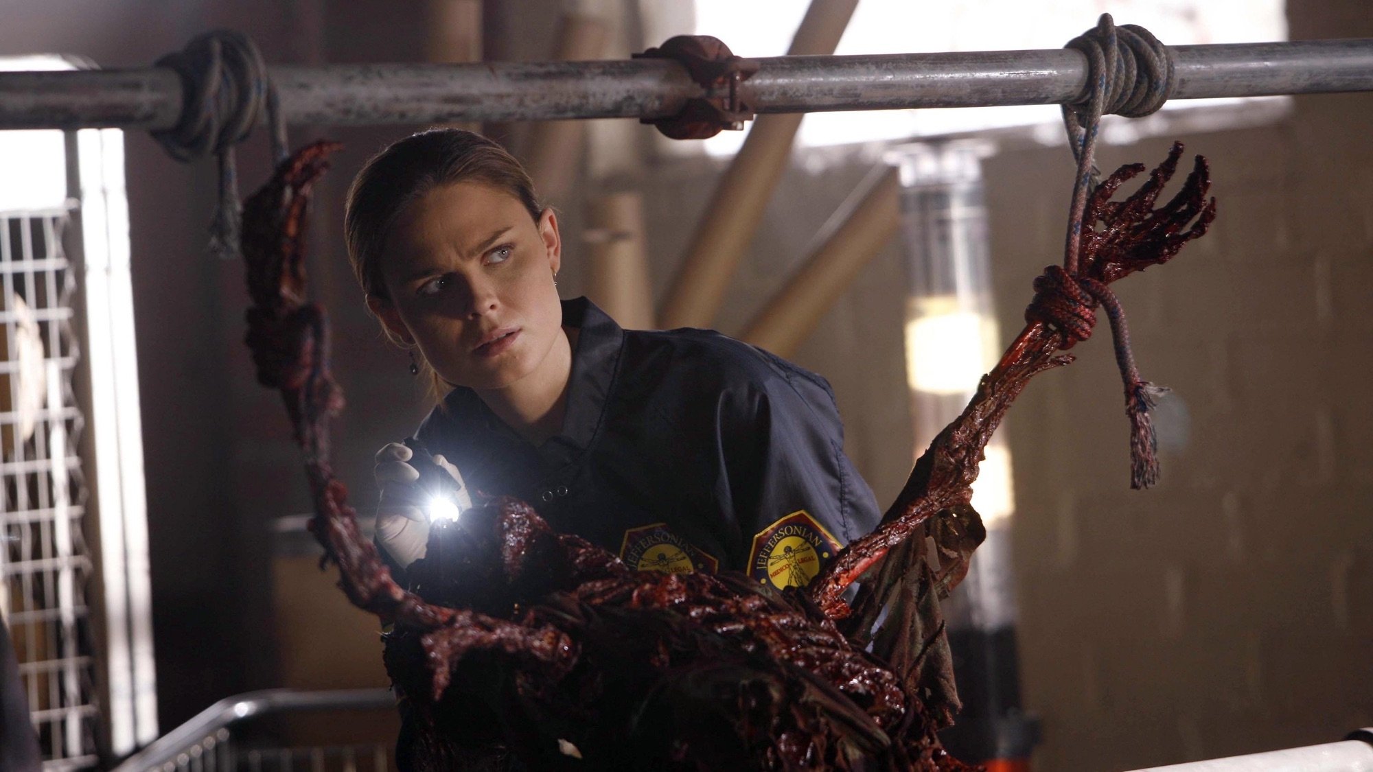 Dos cuerpos en el laboratorio