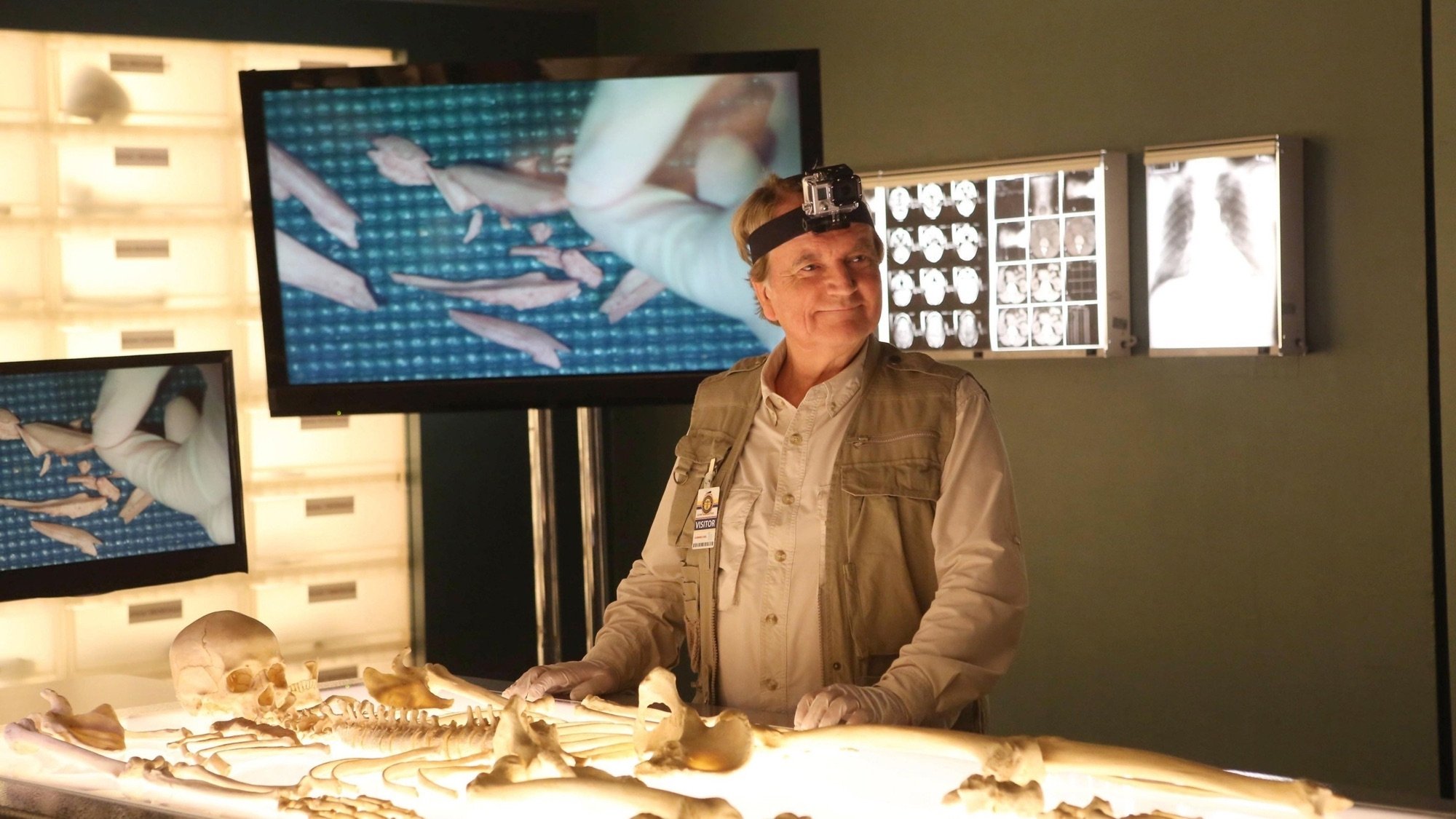 La sangre de las piedras