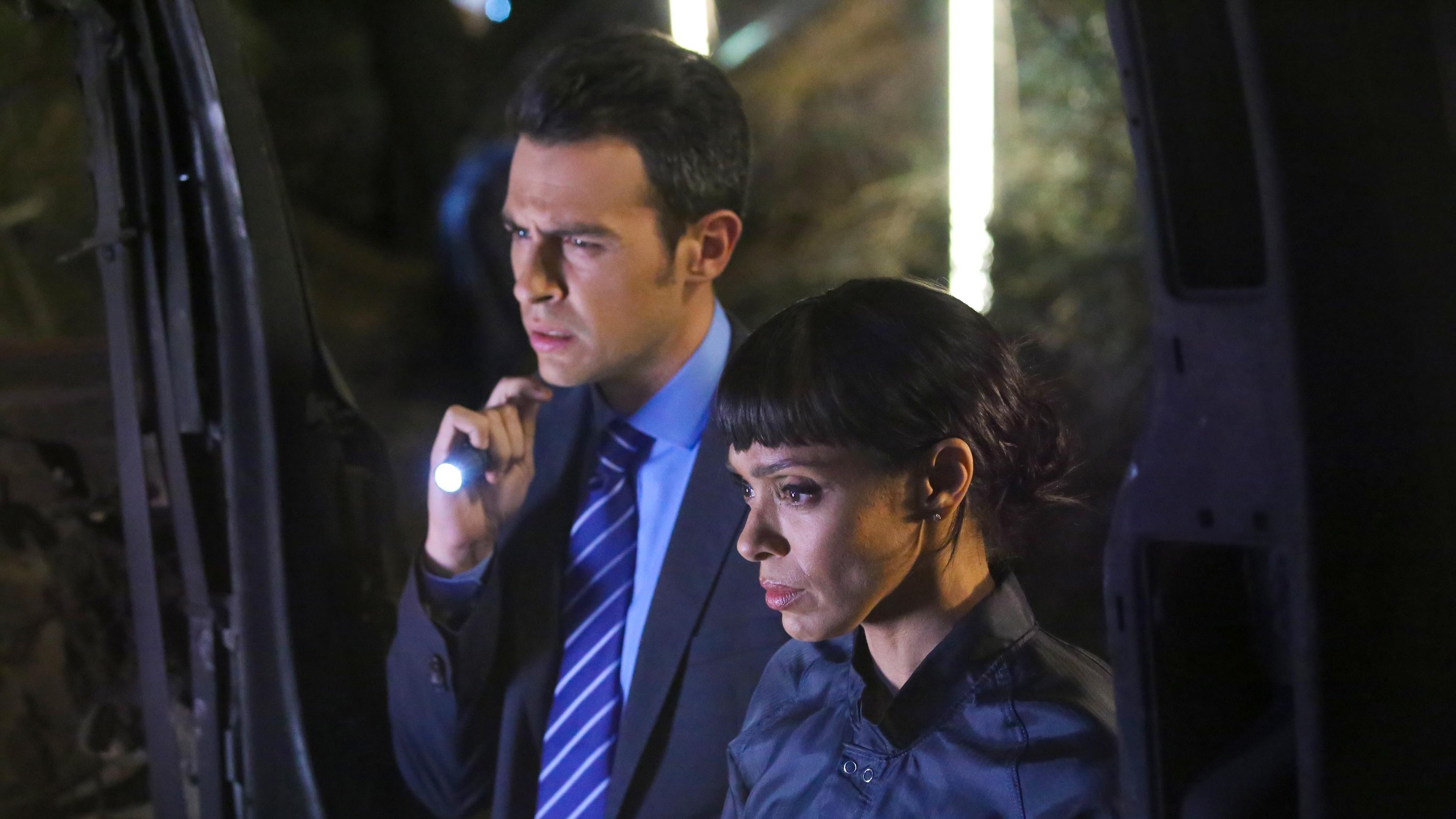 La lealtad en la mentira