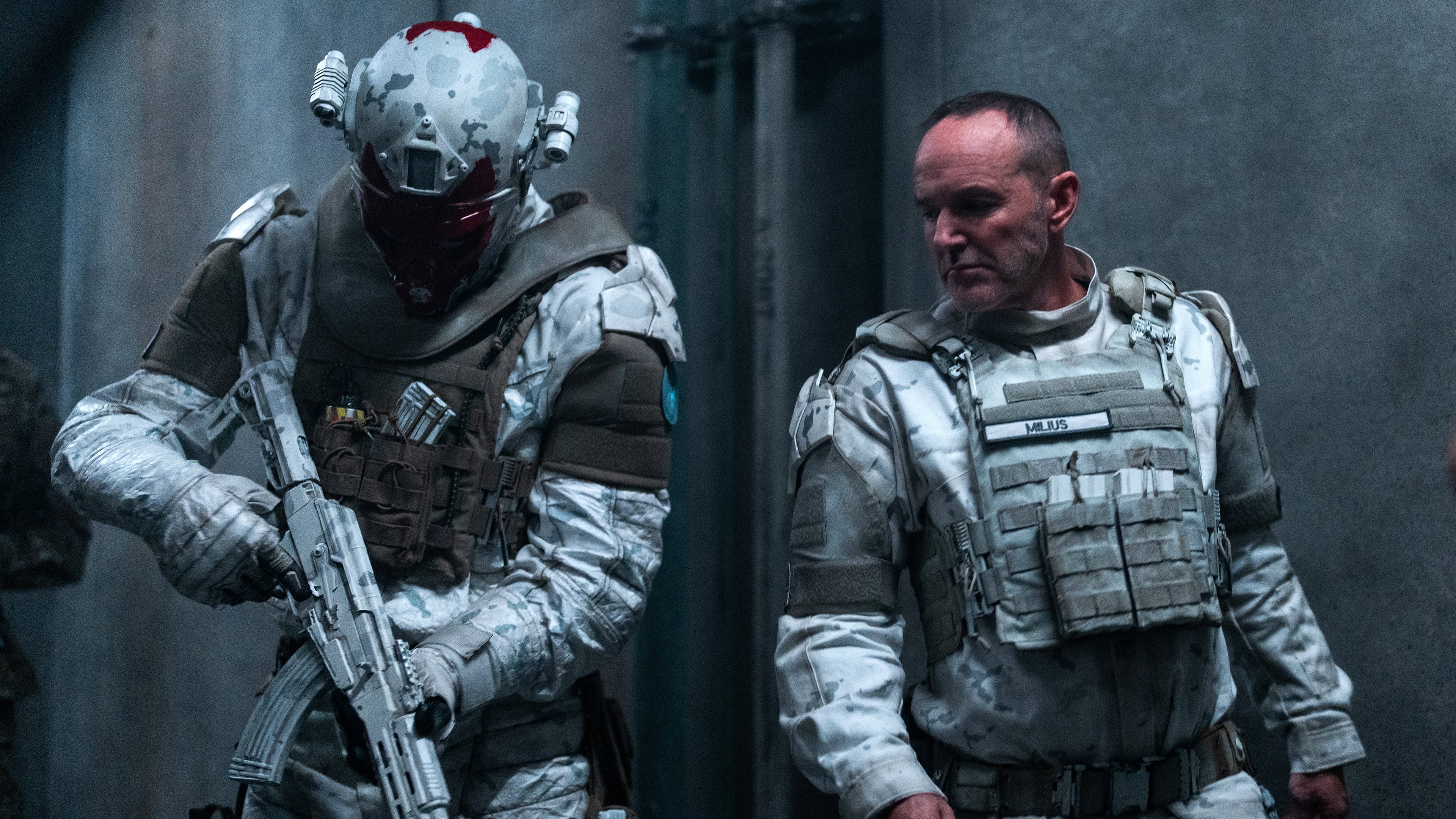 El cascabel del gato