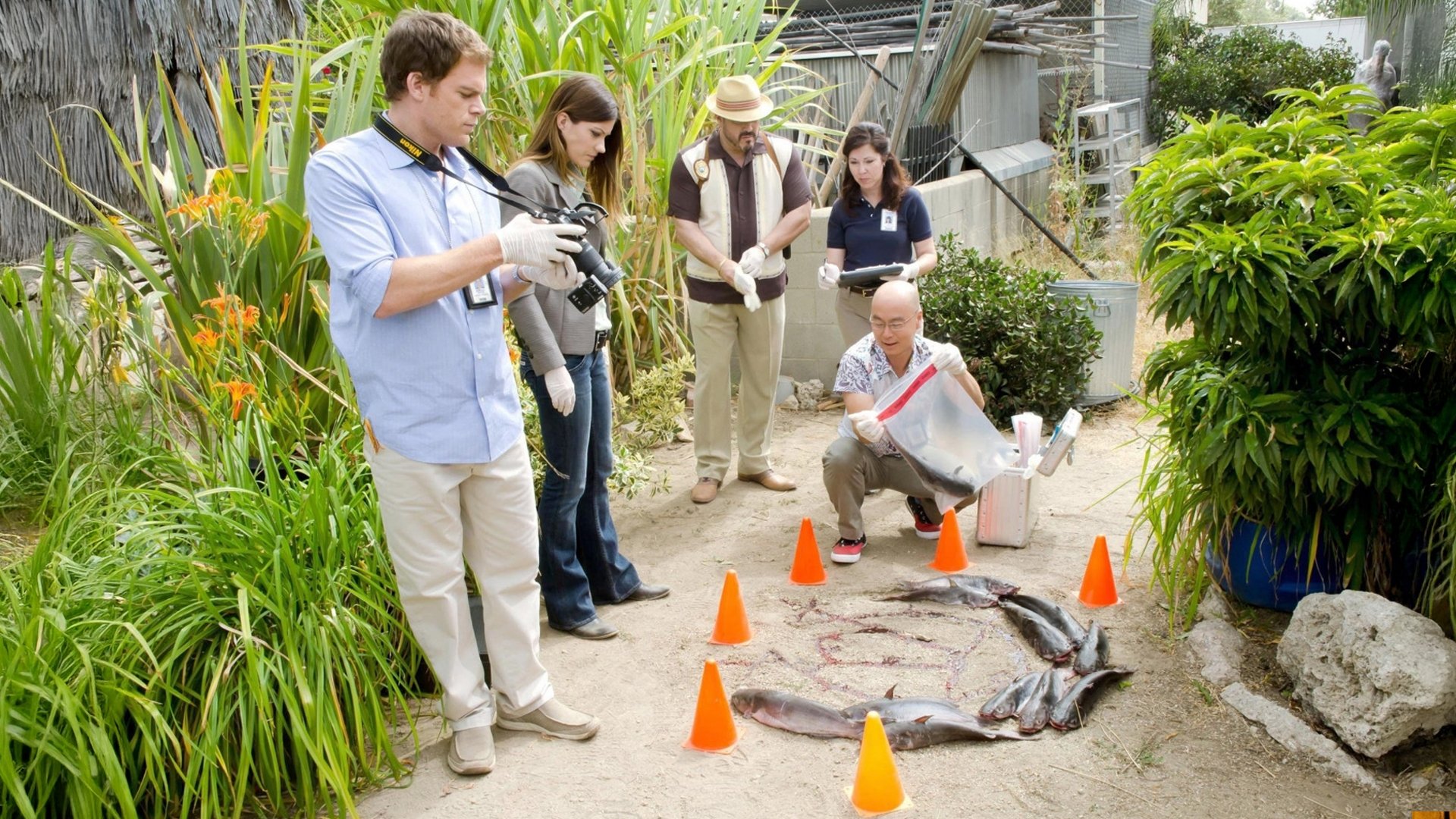 Un caballo de un color diferente