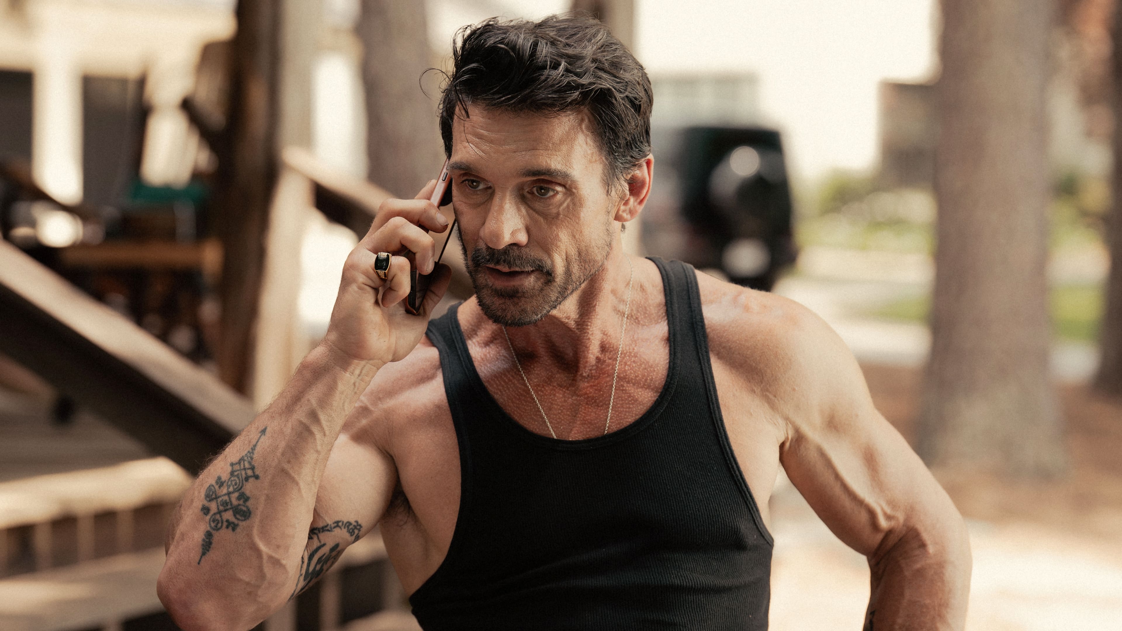 Lucha contra los molinos de viento